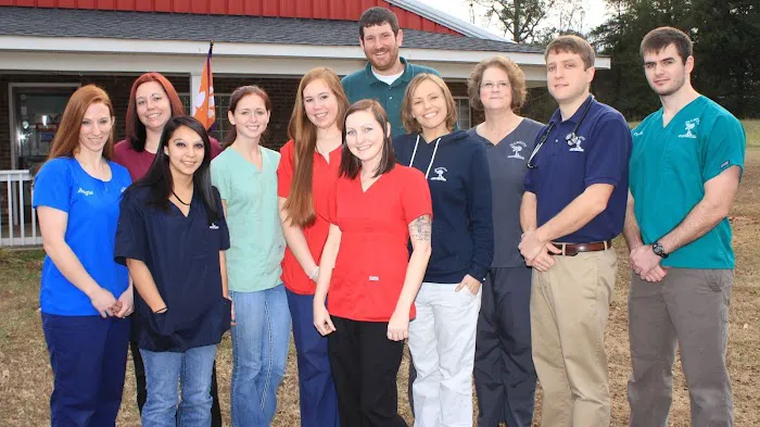 Palmetto Veterinary Medicine & Surgery Picture 1