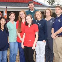 Palmetto Veterinary Medicine & Surgery ico