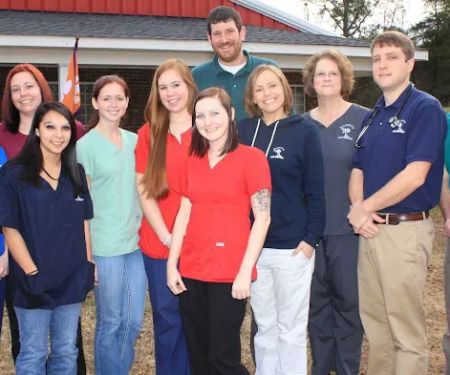Palmetto Veterinary Medicine & Surgery