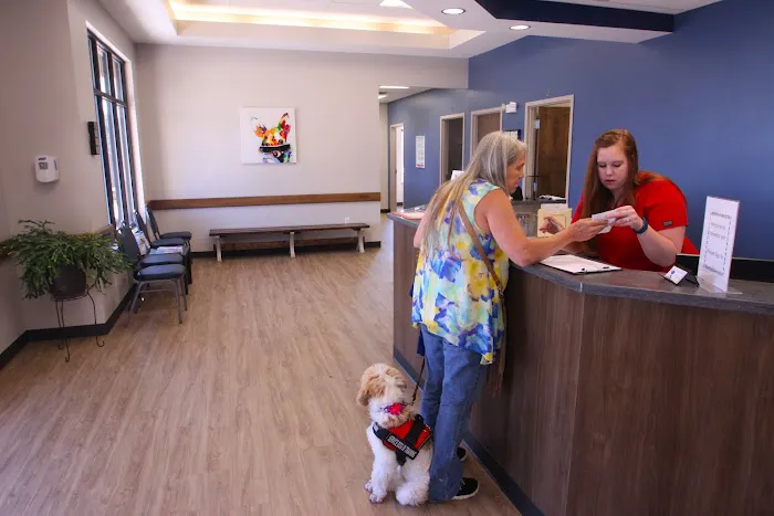Palmetto Veterinary Medicine & Surgery Picture 5