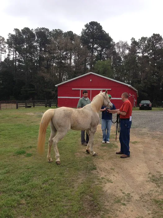 Palmetto Veterinary Medicine & Surgery Picture 10