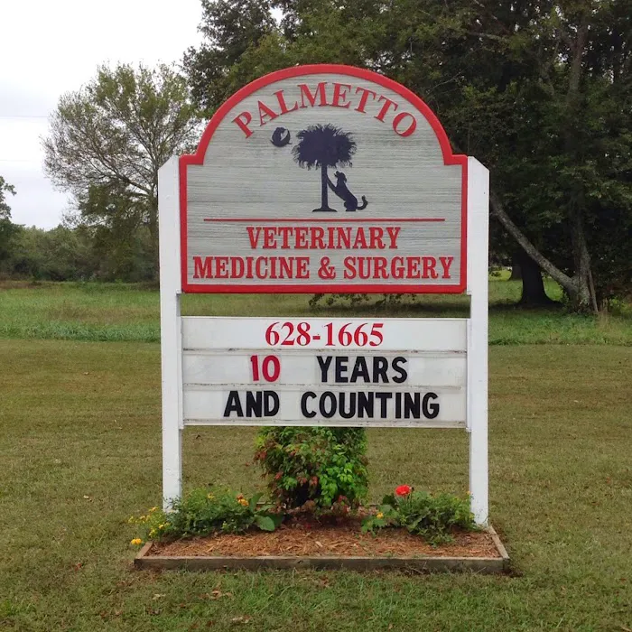 Palmetto Veterinary Medicine & Surgery Picture 9