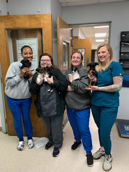 Catawba Animal Clinic Picture 1