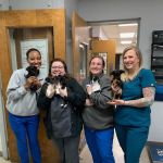 Catawba Animal Clinic
