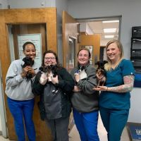 Catawba Animal Clinic ico