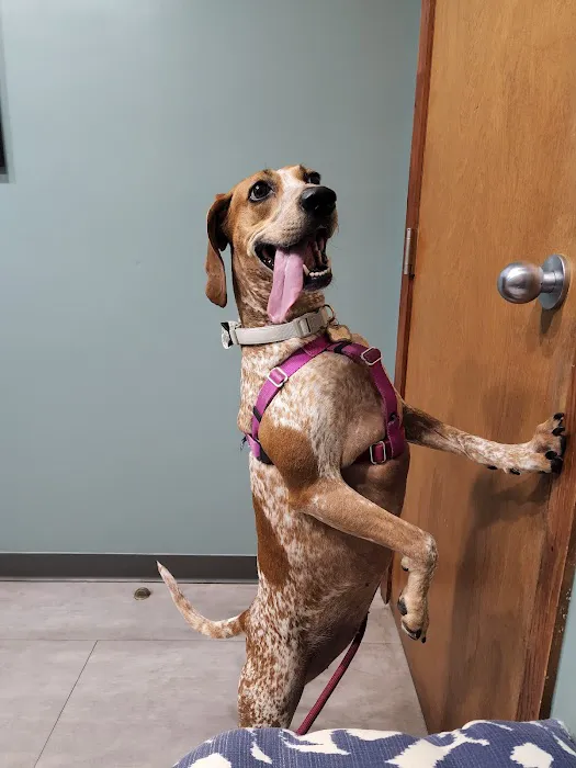 Catawba Animal Clinic Picture 6