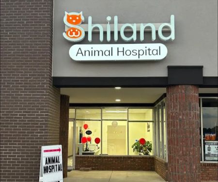 Urgent Care - Shiland Animal Hospital & Urgent Care