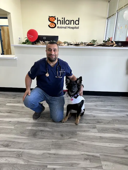 Urgent Care - Shiland Animal Hospital & Urgent Care Picture 6