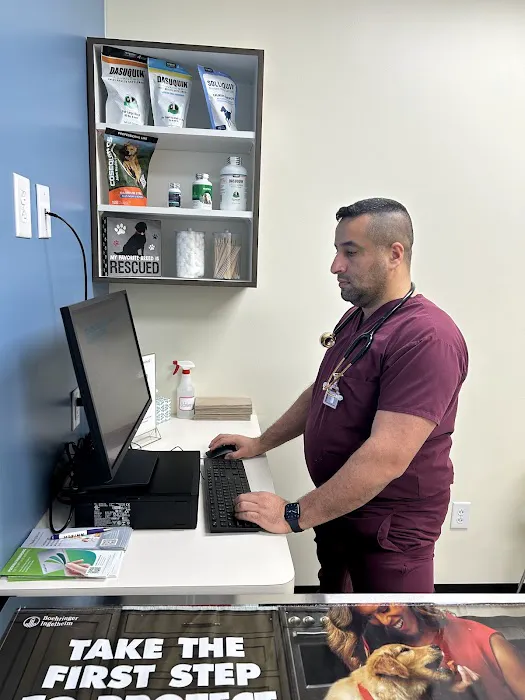 Urgent Care - Shiland Animal Hospital & Urgent Care Picture 4