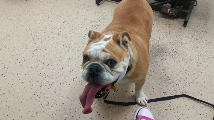 Lowrys Animal Hospital Picture 1