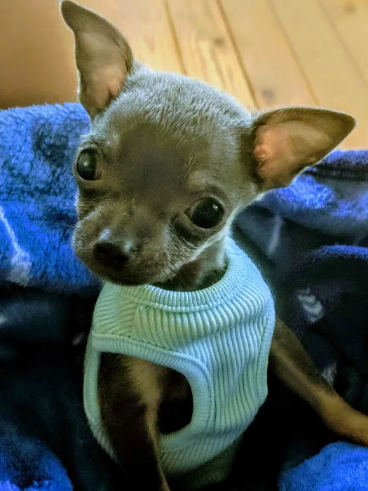 Lowrys Animal Hospital Picture 2