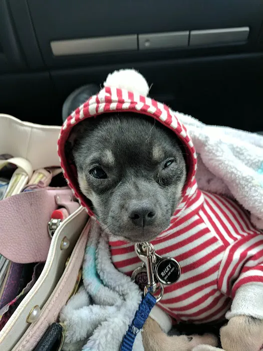 Lowrys Animal Hospital Picture 3