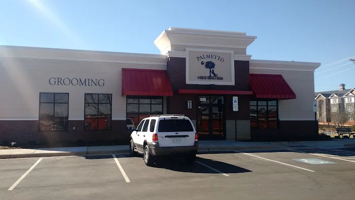 Palmetto Veterinary Medicine and Surgery-ROCK HILL Picture 3