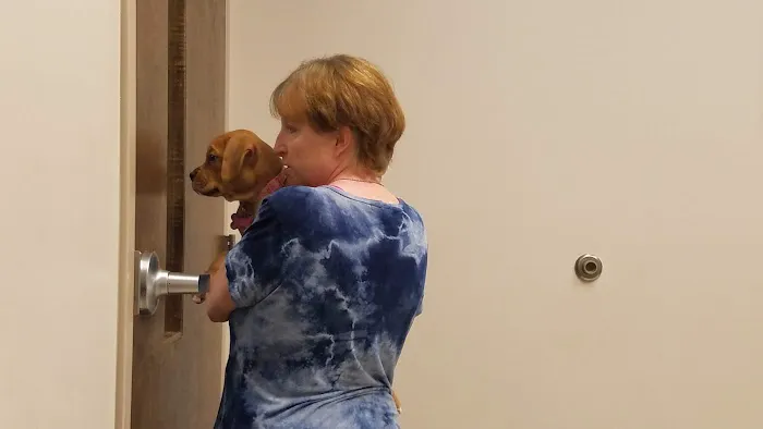 Palmetto Veterinary Medicine and Surgery-ROCK HILL Picture 6