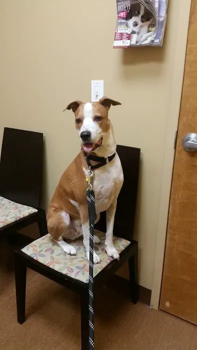 Ballantyne Veterinary Clinic Picture 2