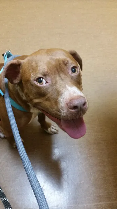 Ballantyne Veterinary Clinic Picture 10