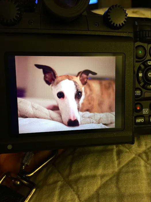 Camden Veterinary Hospital Picture 10