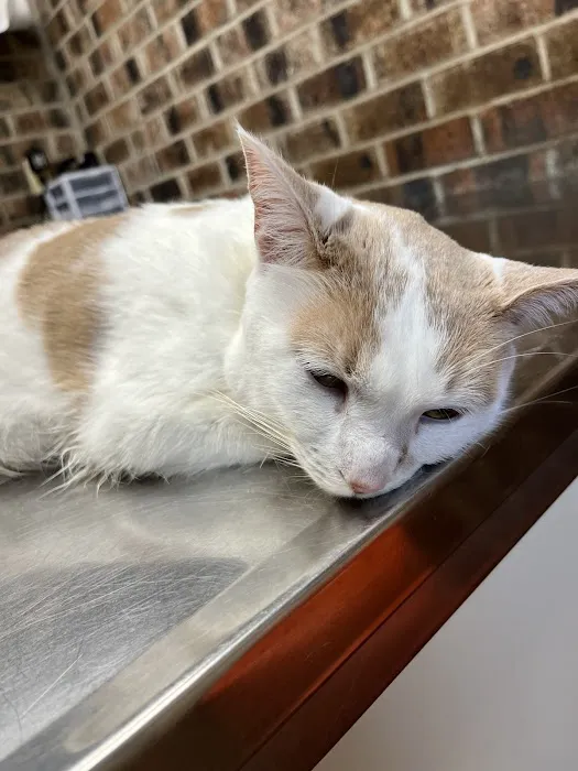 Camden Veterinary Hospital Picture 8