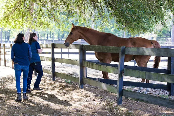 South Carolina Equine Associates Inc Picture 3