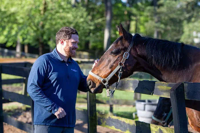 South Carolina Equine Associates Inc Picture 2