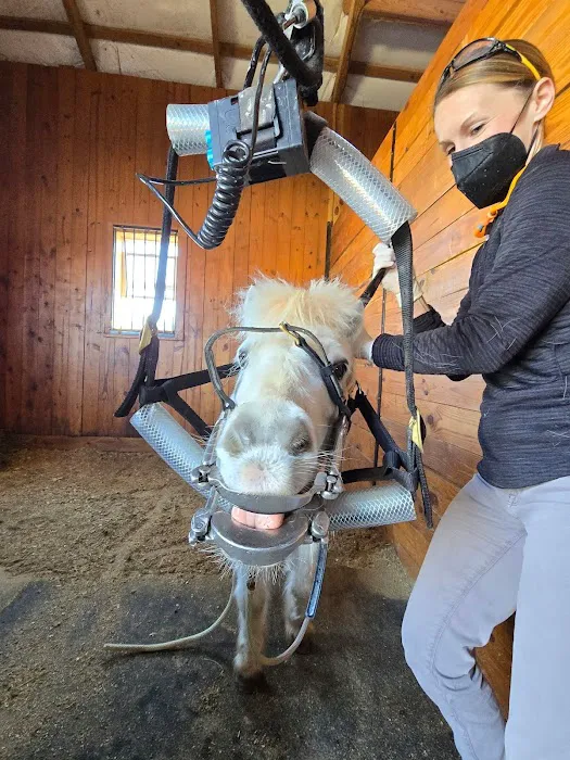 South Carolina Equine Associates Inc Picture 5
