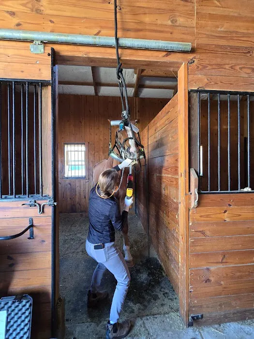 South Carolina Equine Associates Inc Picture 6