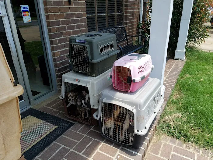 Chester Veterinary Clinic Picture 3