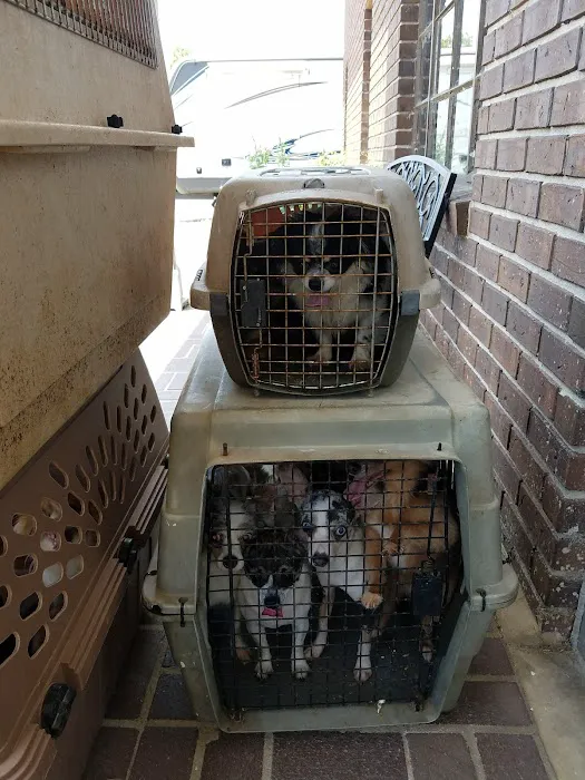 Chester Veterinary Clinic Picture 1