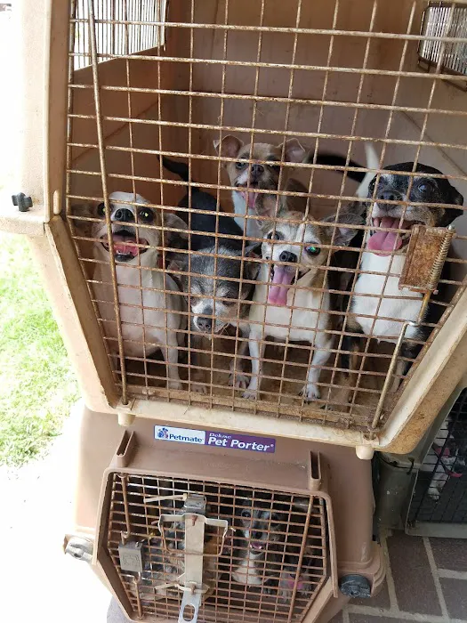 Chester Veterinary Clinic Picture 5