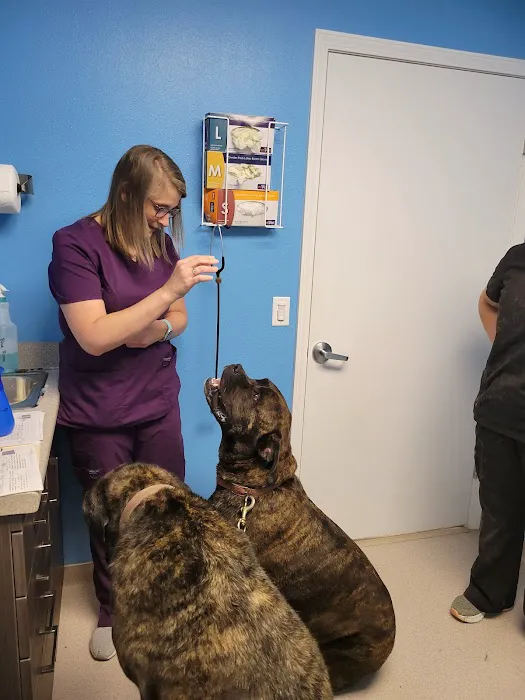 Chester Veterinary Clinic Picture 8