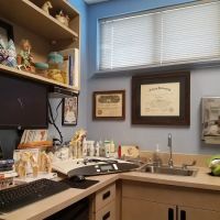 Cape Fear Animal Hospital ico