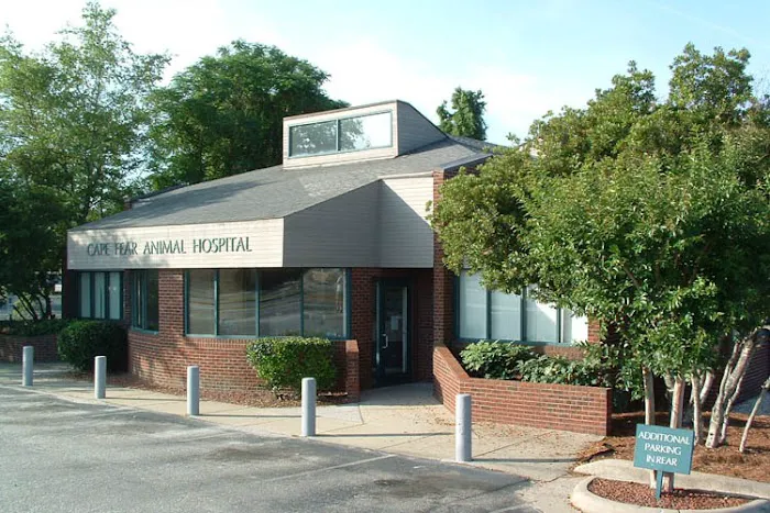 Cape Fear Animal Hospital Picture 2