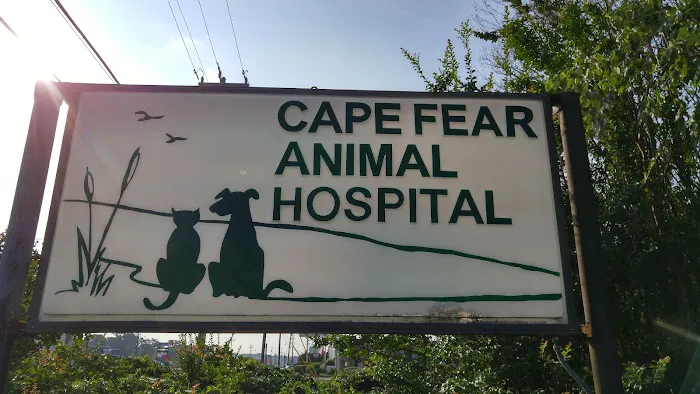 Cape Fear Animal Hospital Picture 4