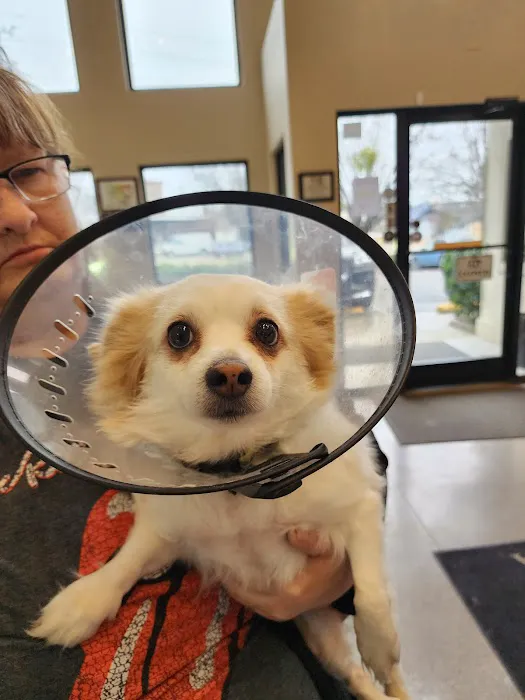 Animal Hospital of Fayetteville Picture 1
