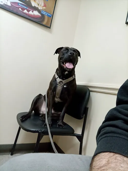 Animal Hospital of Fayetteville Picture 2