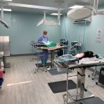 Spay/Neuter Veterinary Clinic of the Sandhills