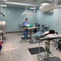 Spay/Neuter Veterinary Clinic of the Sandhills ico