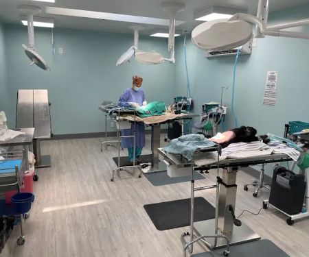 Spay/Neuter Veterinary Clinic of the Sandhills