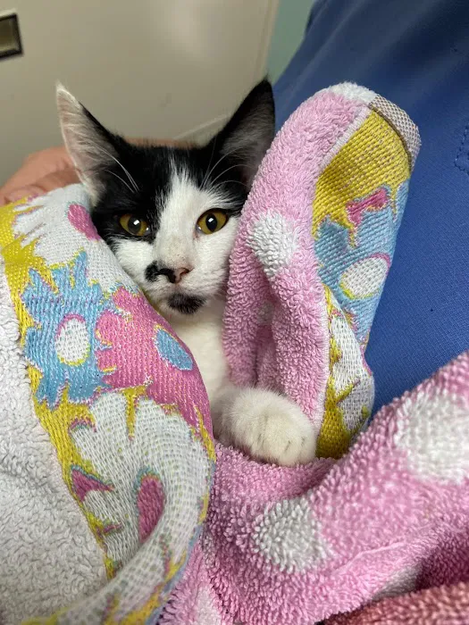 Spay/Neuter Veterinary Clinic of the Sandhills Picture 3