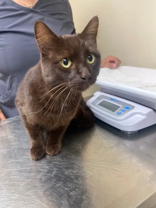 Spay/Neuter Veterinary Clinic of the Sandhills Picture 8