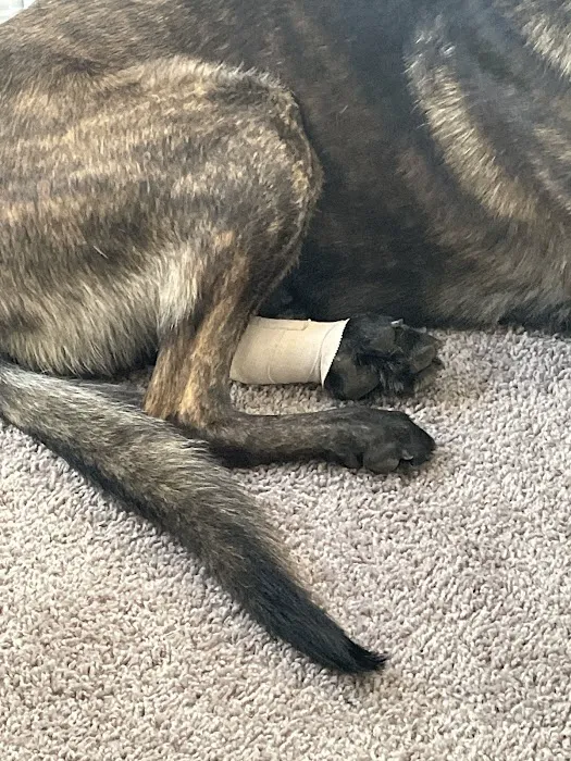 Cross Creek Animal Hospital Picture 5