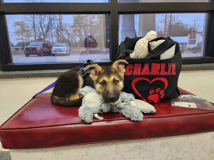 Riverbark Veterinary Hospital Picture 1