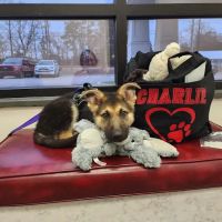 Riverbark Veterinary Hospital ico