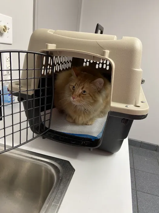 Riverbark Veterinary Hospital Picture 5