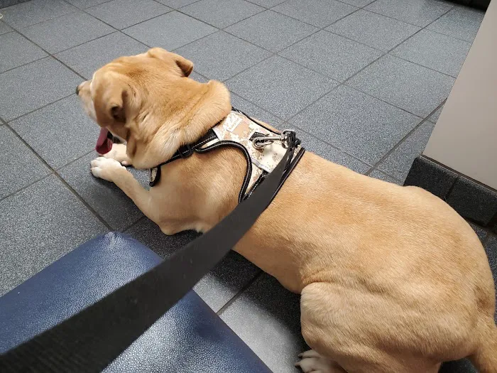 Riverbark Veterinary Hospital Picture 10