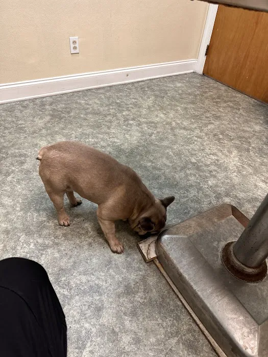 Riverside Animal Hospital Picture 3