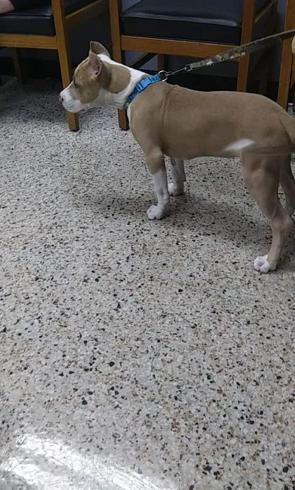 Riverside Animal Hospital Picture 4