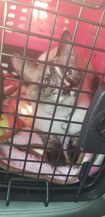 Riverside Animal Hospital Picture 7