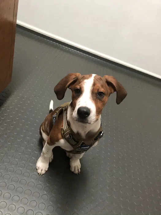 Rim Road Animal Hospital Picture 9