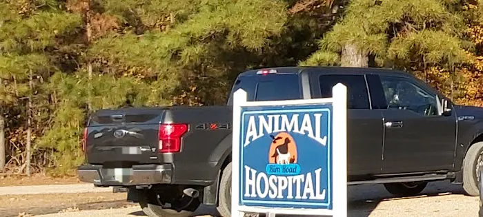 Rim Road Animal Hospital Picture 10